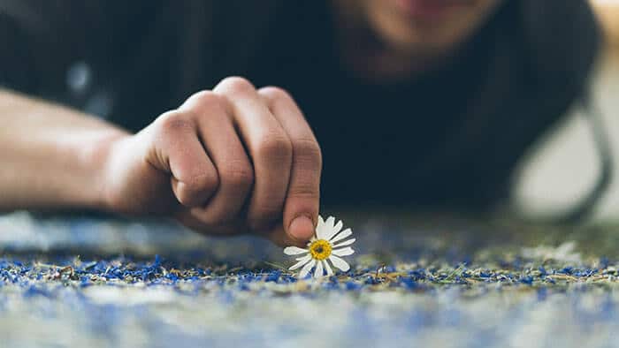 Mann legt eine Blume auf eine Organoid-Oberfläche